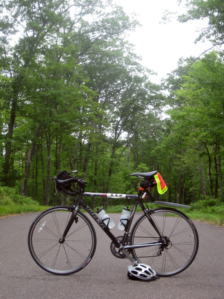 bike-in-woods