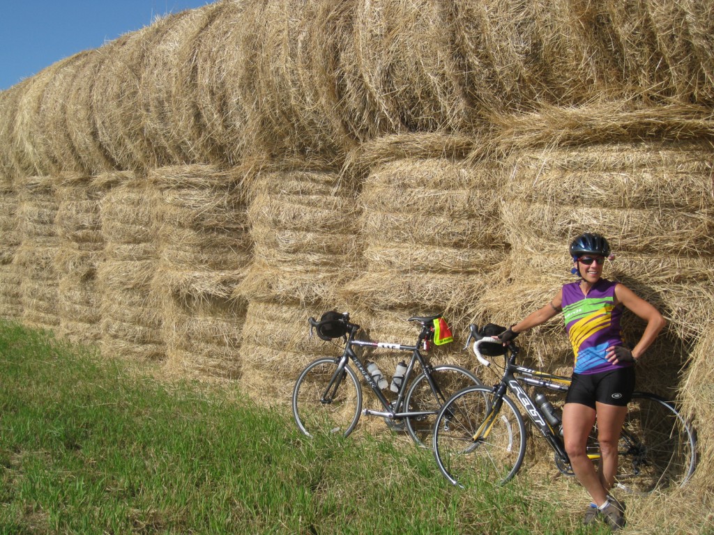 hay-row-chris